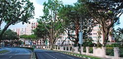 Melville Park (D18), Condominium #170222312